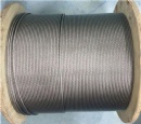 Stainless Steel Wire Rope