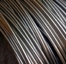 Stainless Steel Wire